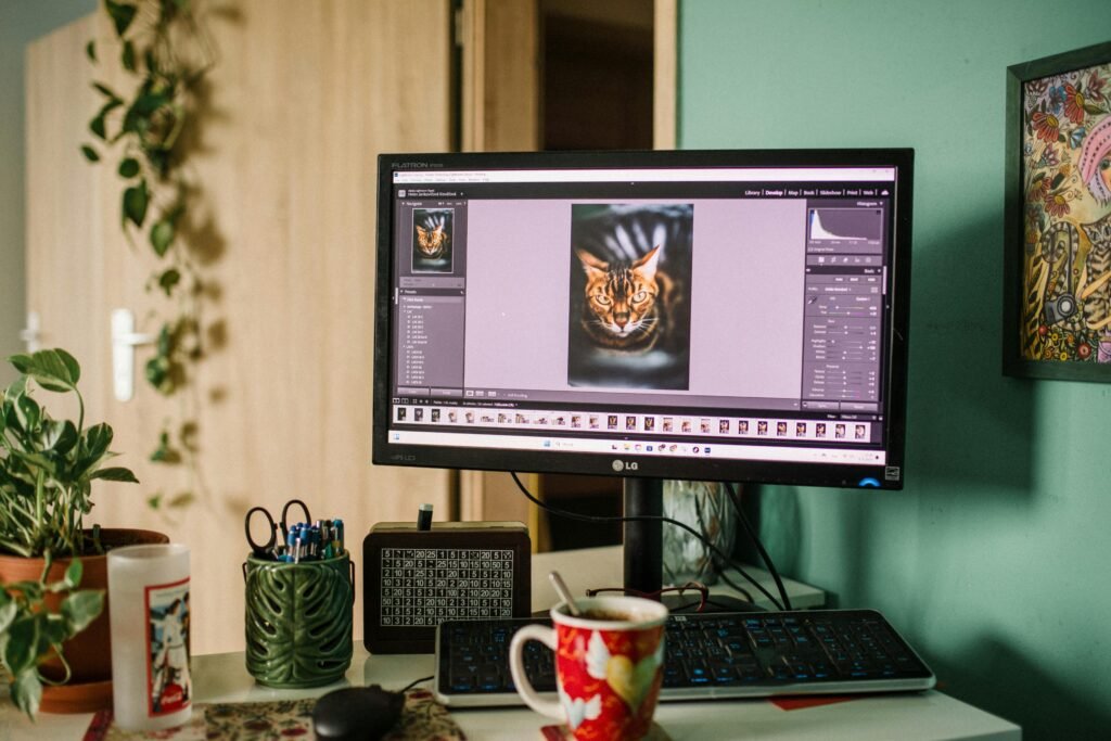 computer open with animating character in editing app